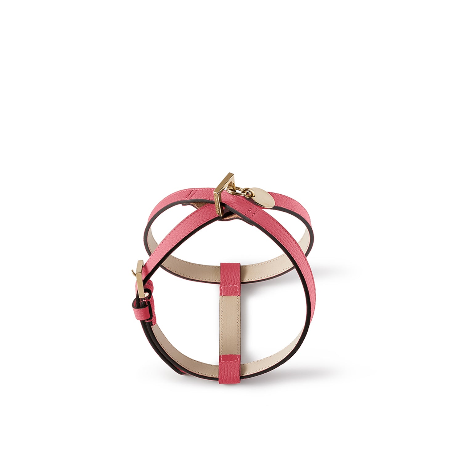 Bonaventura × Frida Firenze Pet Harness Bottalato Leather (30)