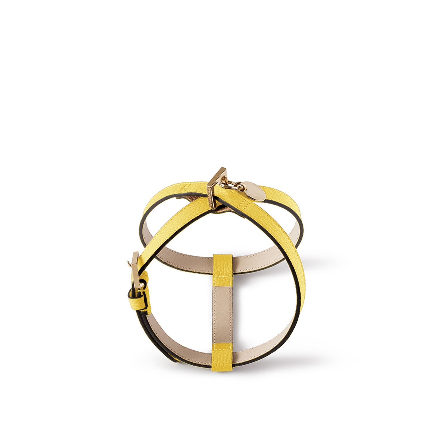 Bonaventura × Frida Firenze Pet Harness Bottalato Leather (30)