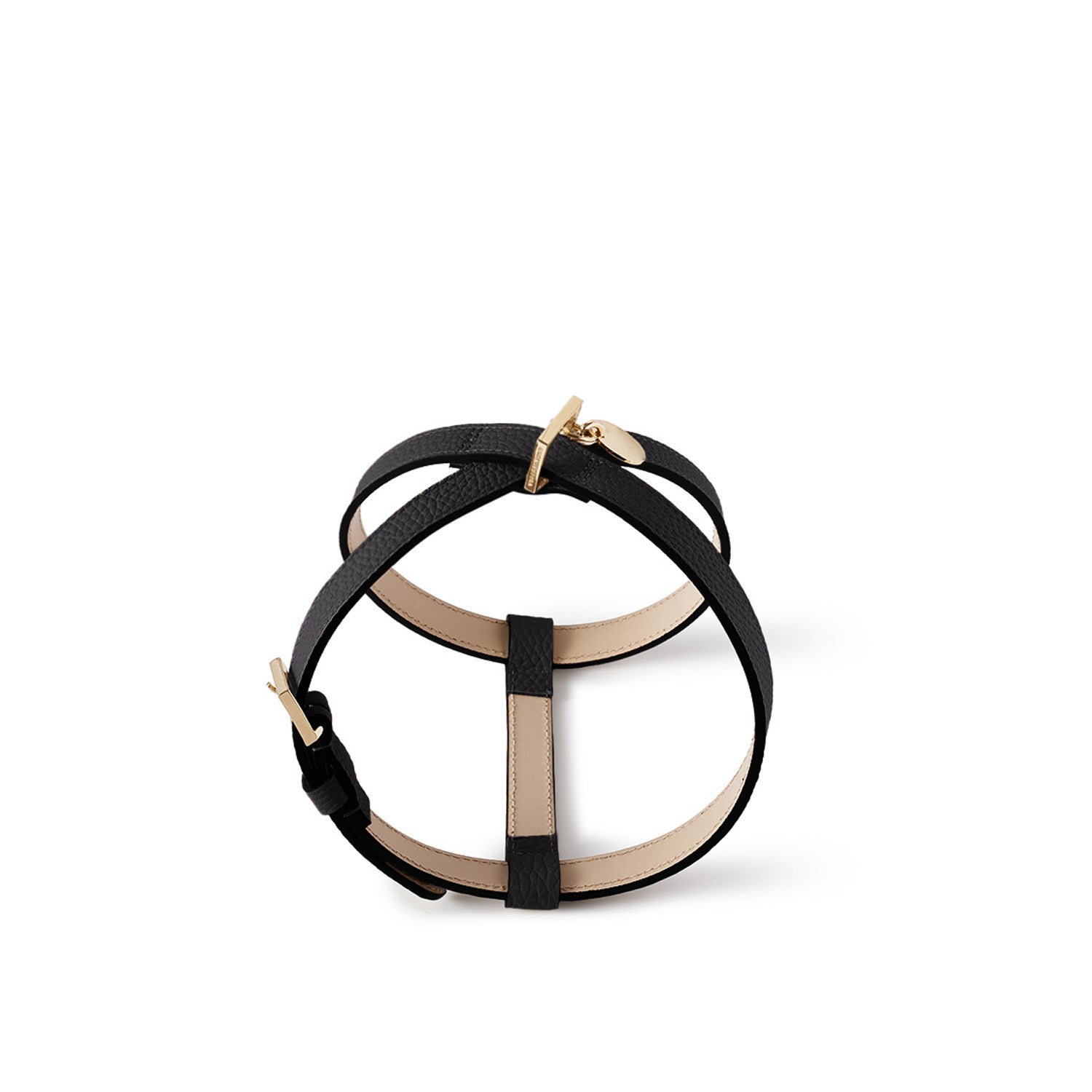 BONAVENTURA × FRIDA Firenze Pet Harness Shrink Leather (35)