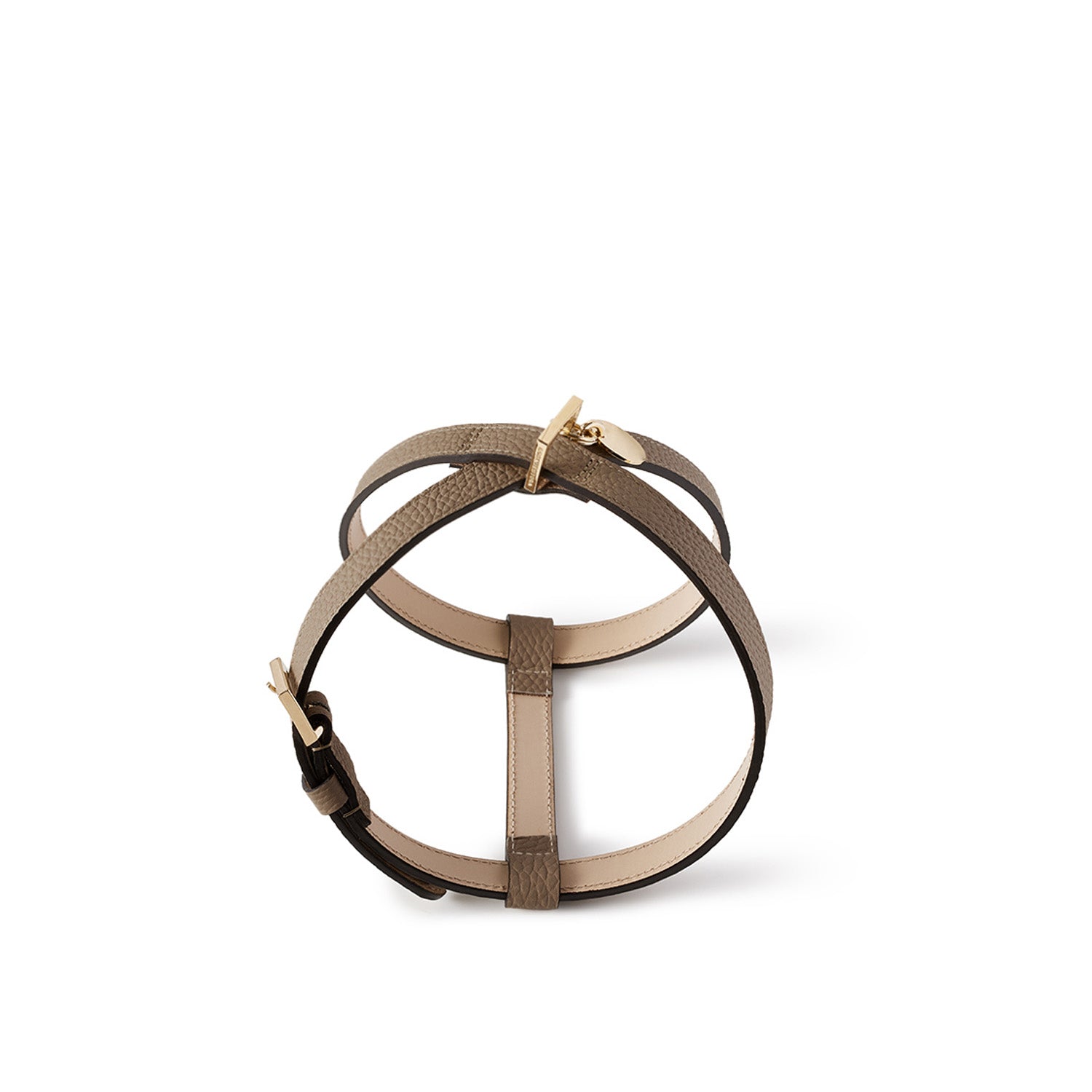 BONAVENTURA × FRIDA Firenze Pet Harness Shrink Leather (35)