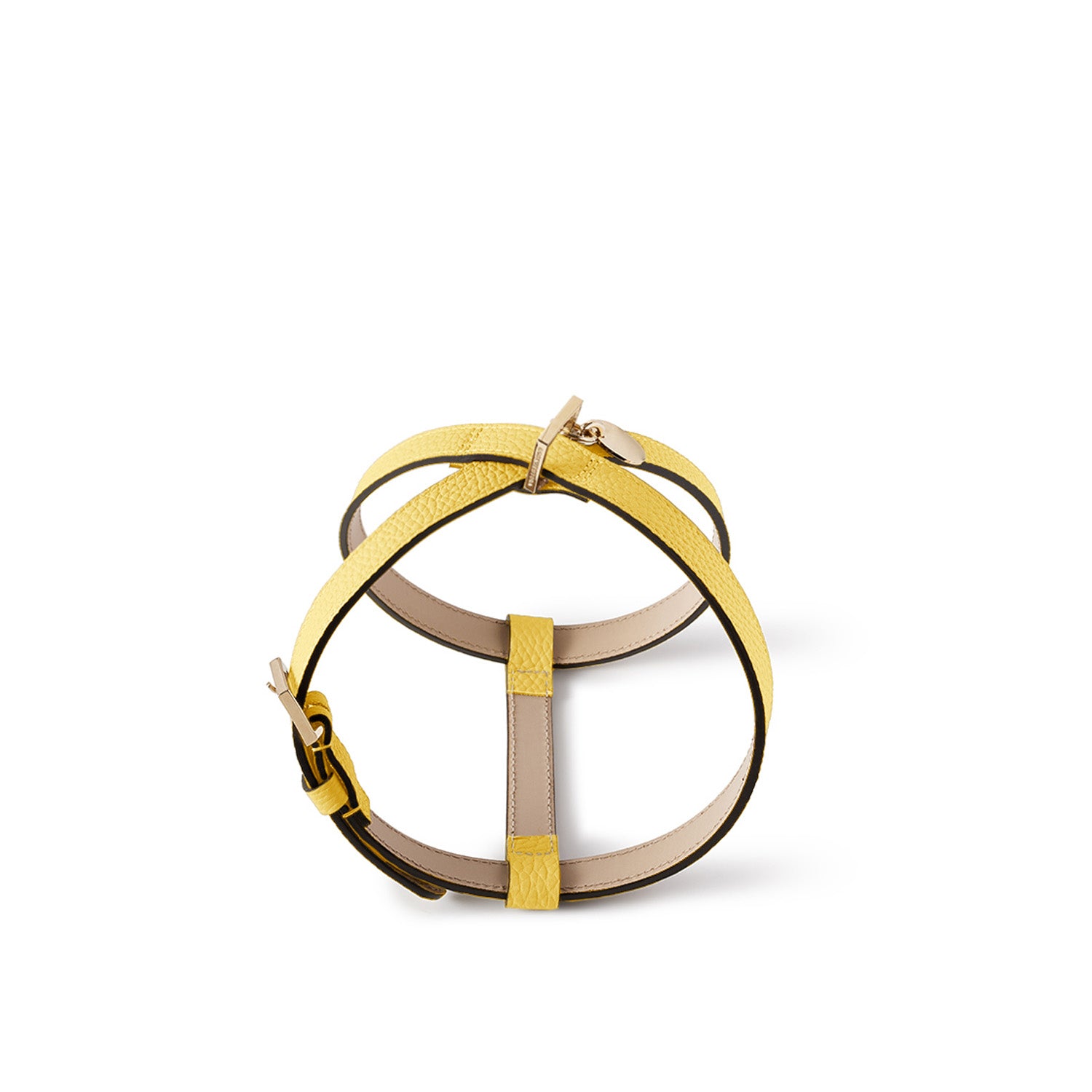 BONAVENTURA × FRIDA Firenze ペット ハーネス (35) シュリンクレザー