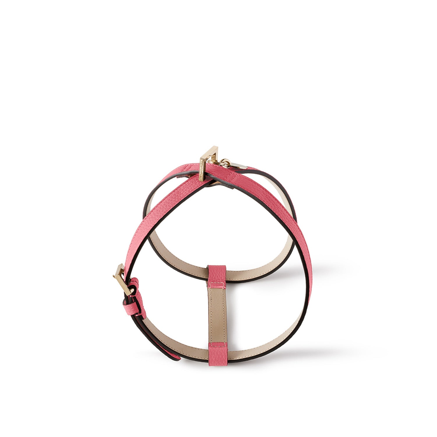 BONAVENTURA × FRIDA Firenze 애완 동물 하네스 (40) 수축 가죽