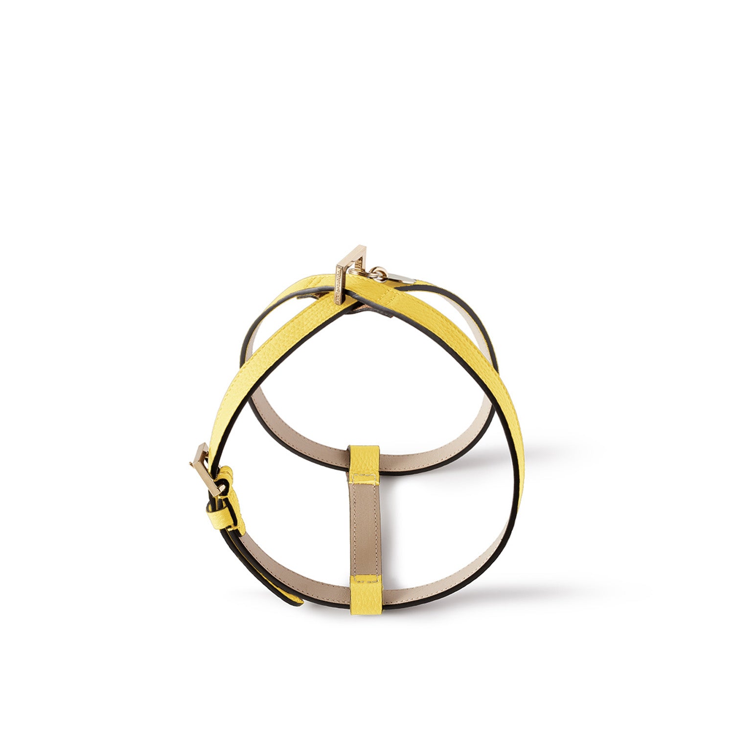 BONAVENTURA × FRIDA Firenze 애완 동물 하네스 (40) 수축 가죽