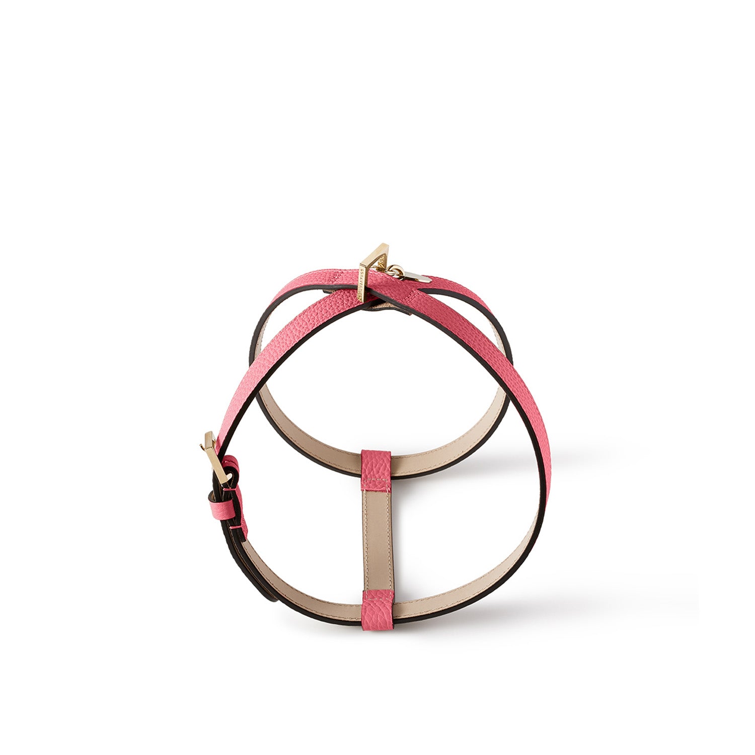 BONAVENTURA × FRIDA Firenze 애완 동물 하네스 (45) 수축 가죽