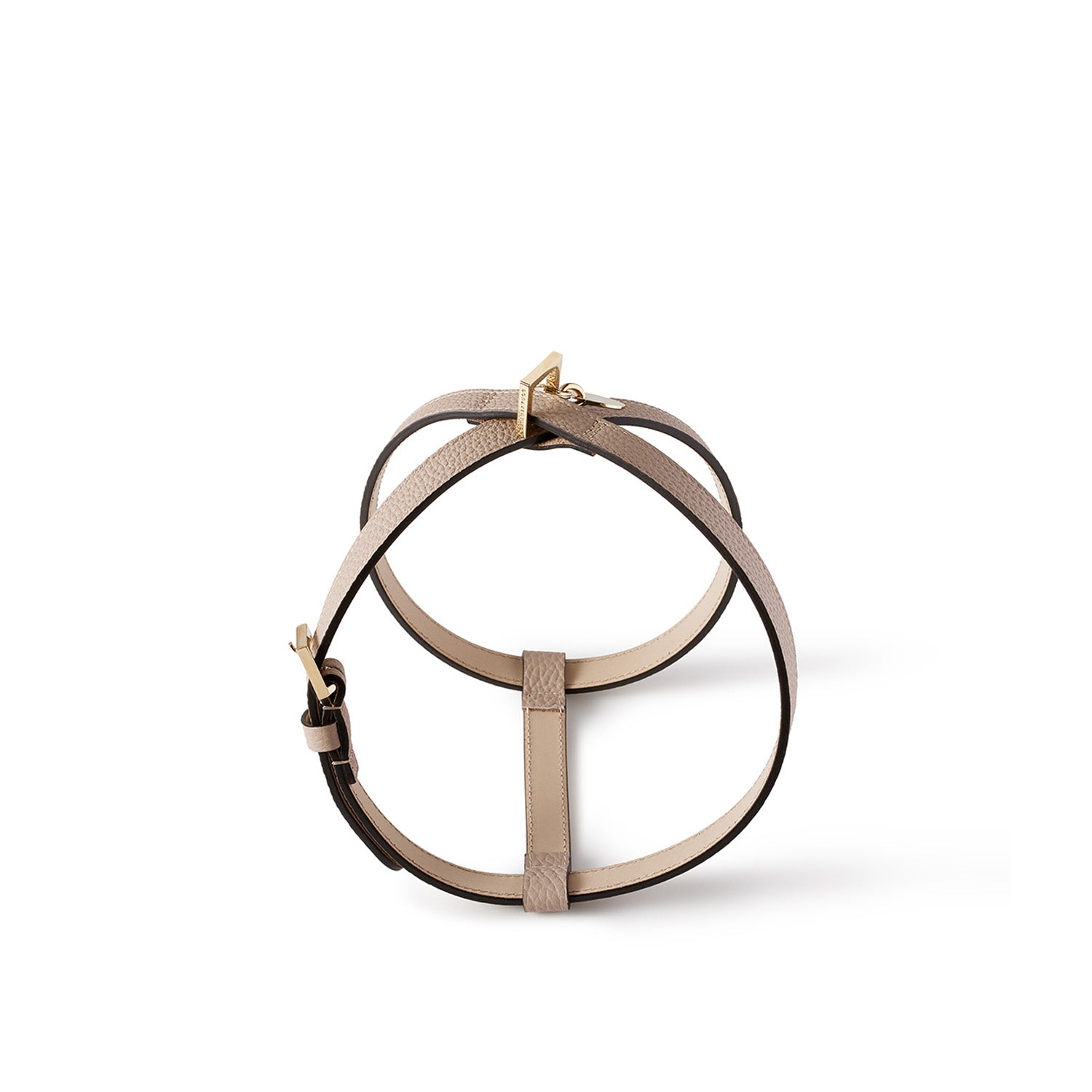 BONAVENTURA × FRIDA Firenze Pet Harness Shrink Leather (45)