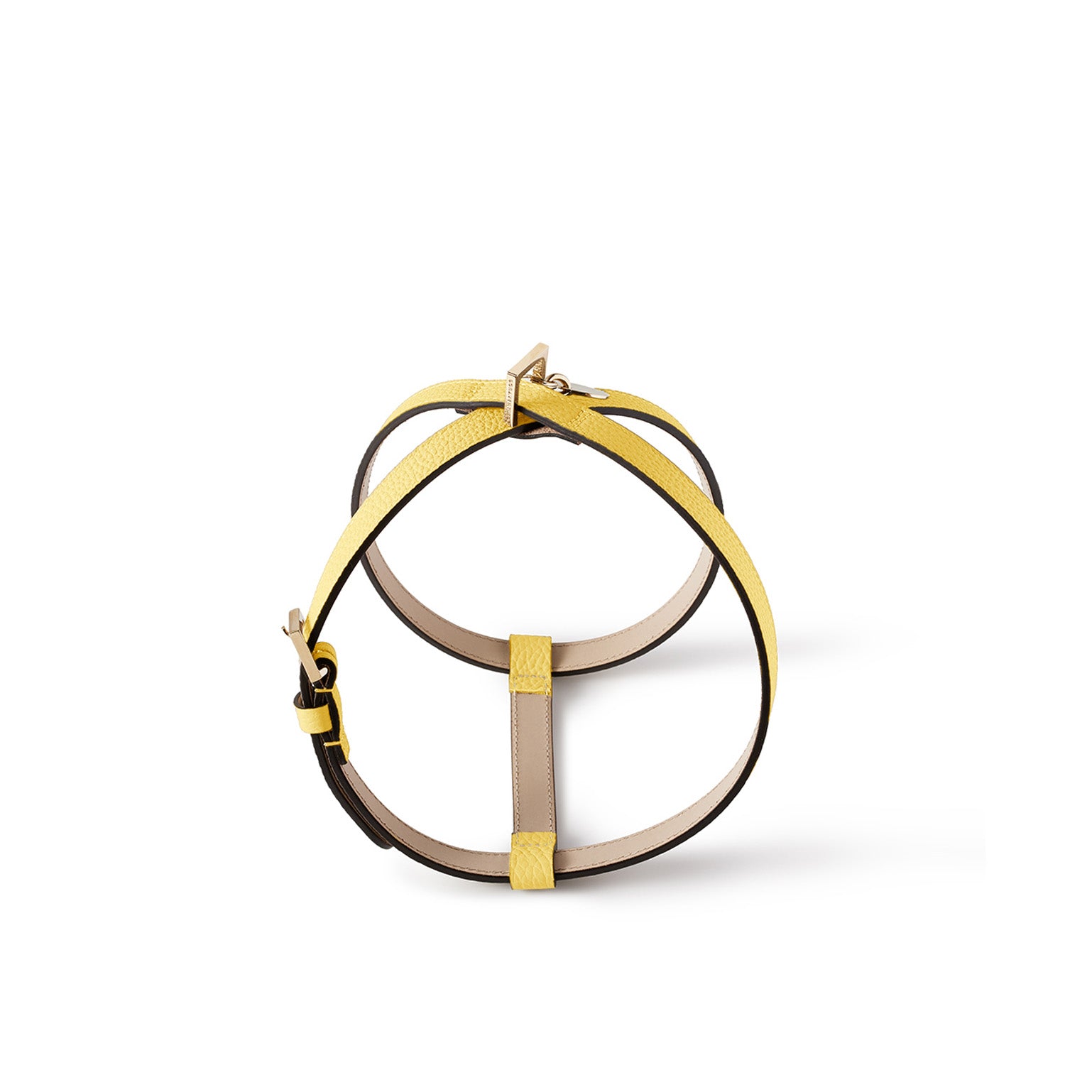 BONAVENTURA × FRIDA Firenze 애완 동물 하네스 (45) 수축 가죽