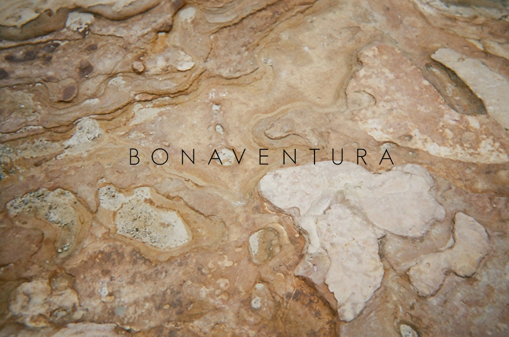 4月16日～ 価格改定のお知らせ