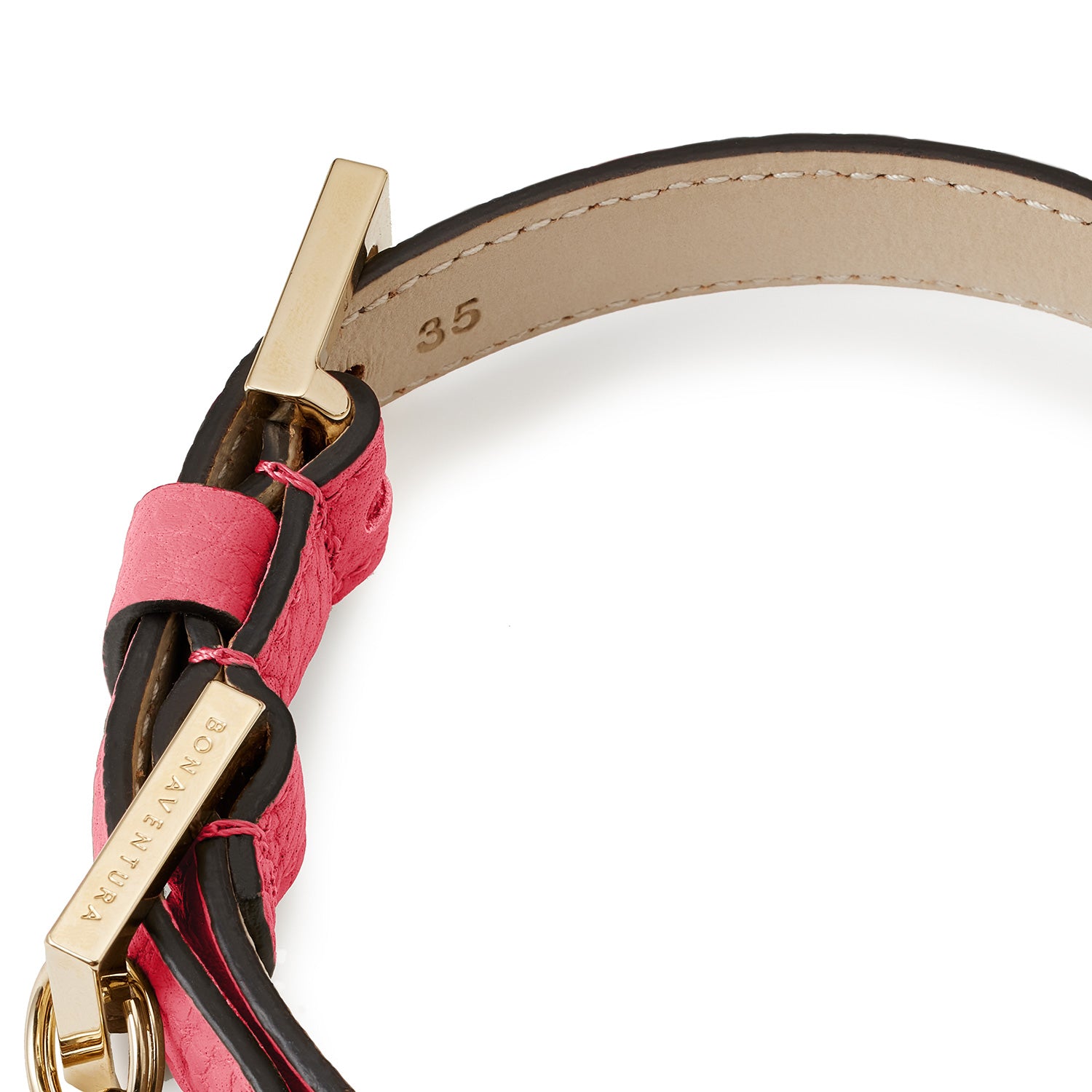 BONAVENTURA × FRIDA Firenze Pet Collar (35) Shrink Leather
