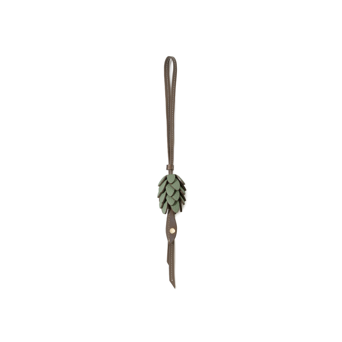 オータムチャーム (松ぼっくり)