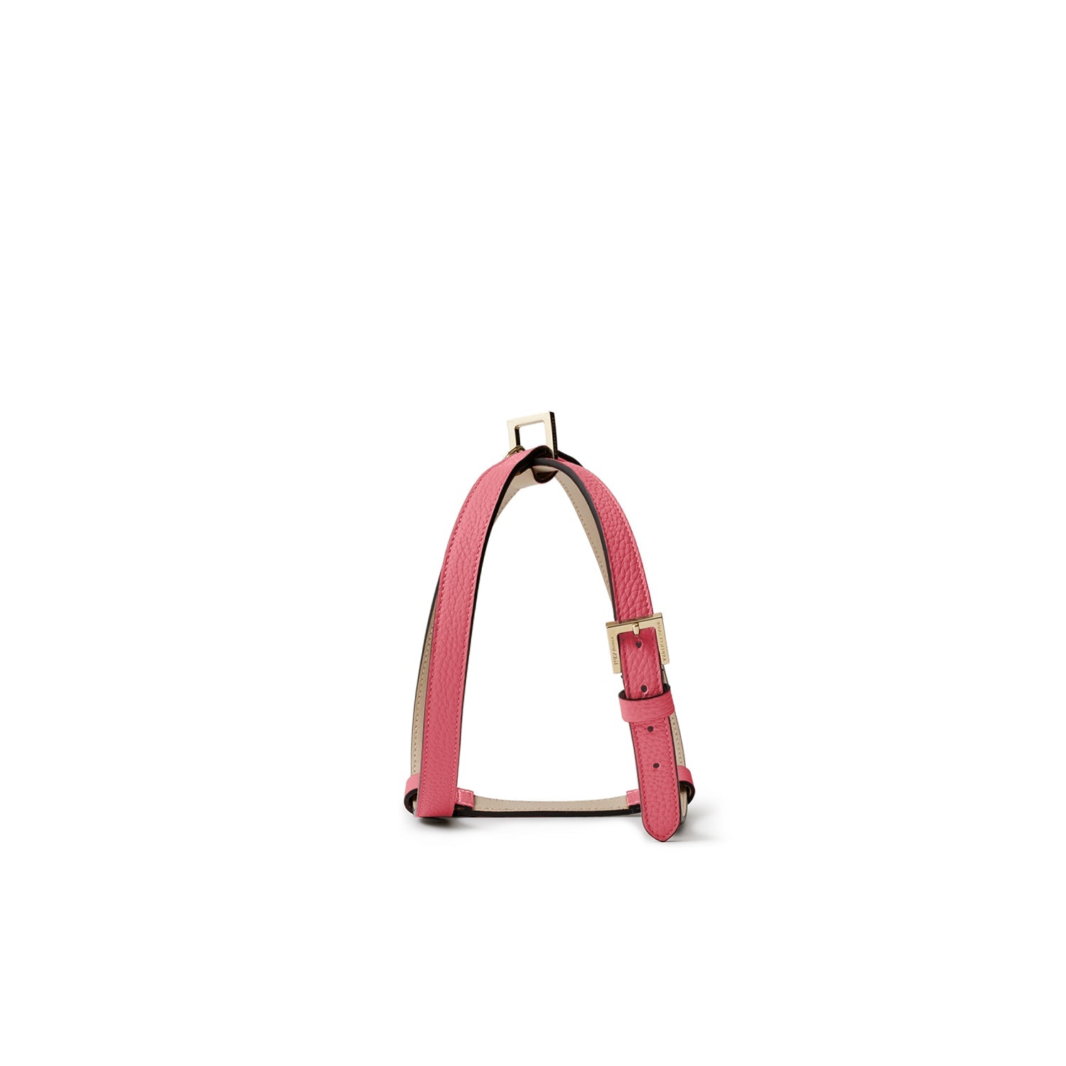 BONAVENTURA × FRIDA Firenze ペット ハーネス (40) シュリンク